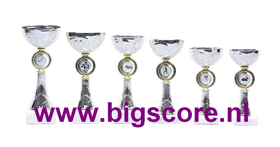 Z550 Beker Goud-Zilver